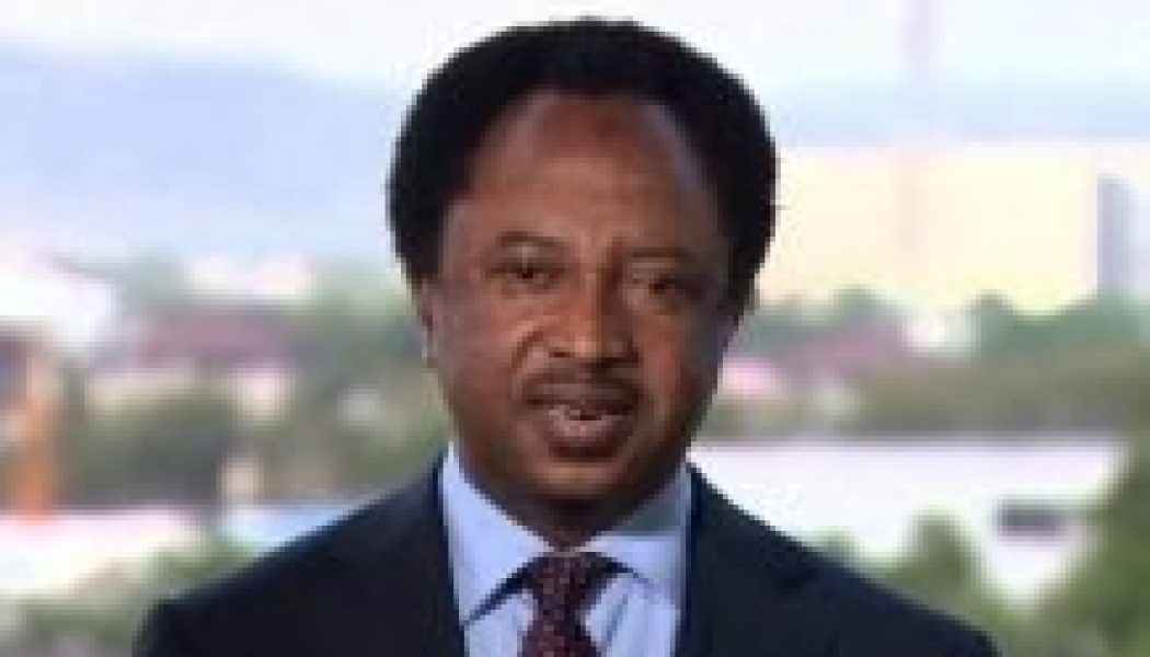 Kaduna attacks: Senator Shehu Sani urges concerted efforts by government, security agencies