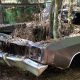 Old Car City U.S.A. Is Part Graveyard, Part Playground for Fans of Abandoned Classic Cars