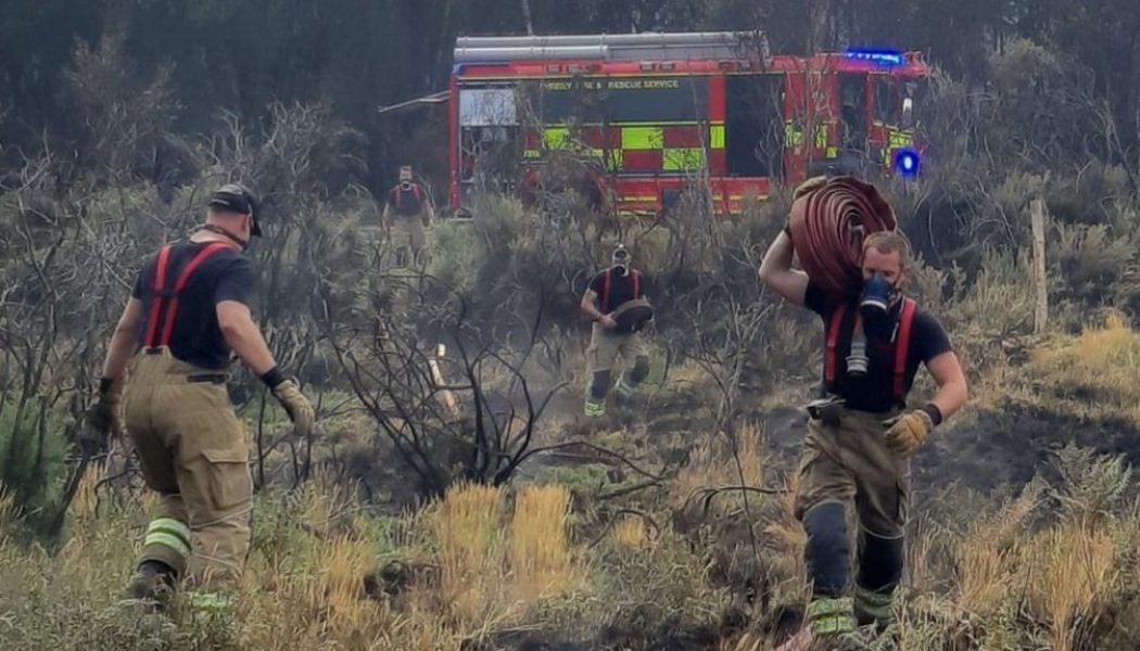 QUEEN Guitarist BRIAN MAY Thanks Firefighters For Saving Home From Wildfire