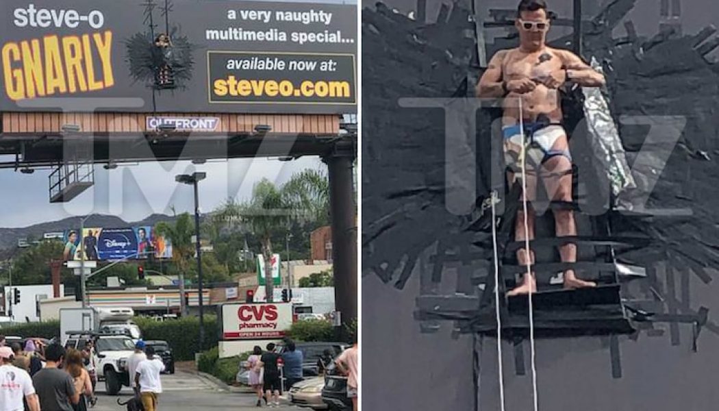 Steve-O Duct-Tapes Himself to Billboard to Promote New Special Gnarly