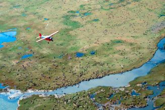 Trump administration approves opening Arctic refuge for drilling