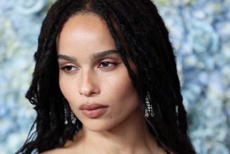 Zoe Kravitz Calls Out Hulu for Not Having Enough Shows Starring Women of Color