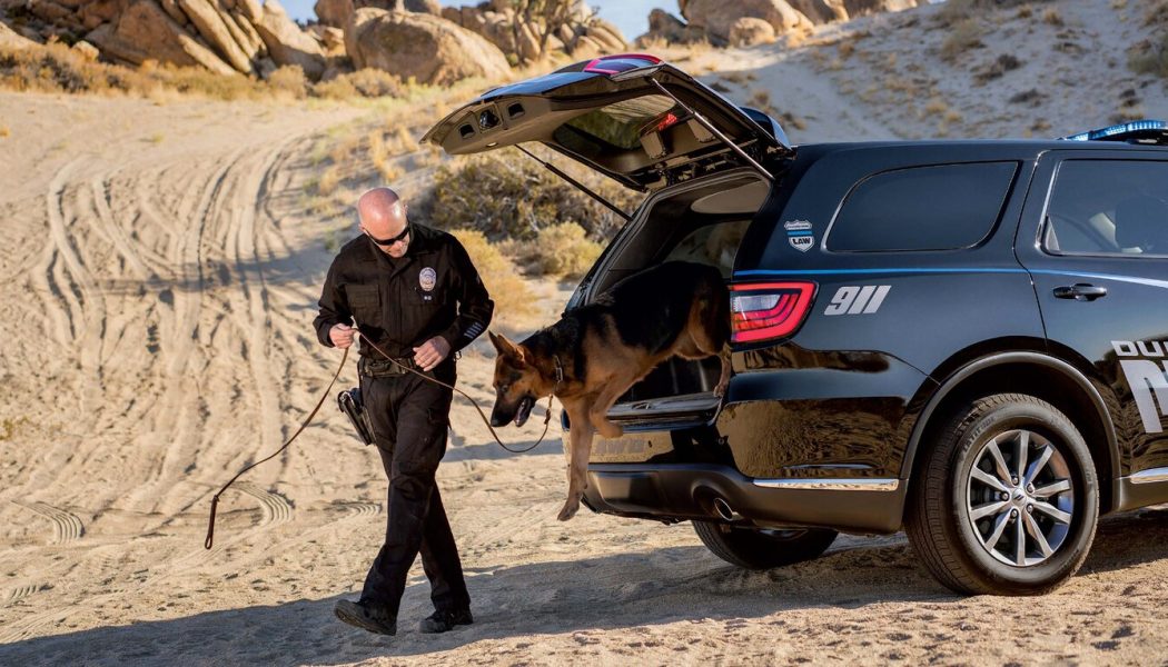 2021 Dodge Charger and Durango Pursuit Cop Cars Are Ready to Patrol