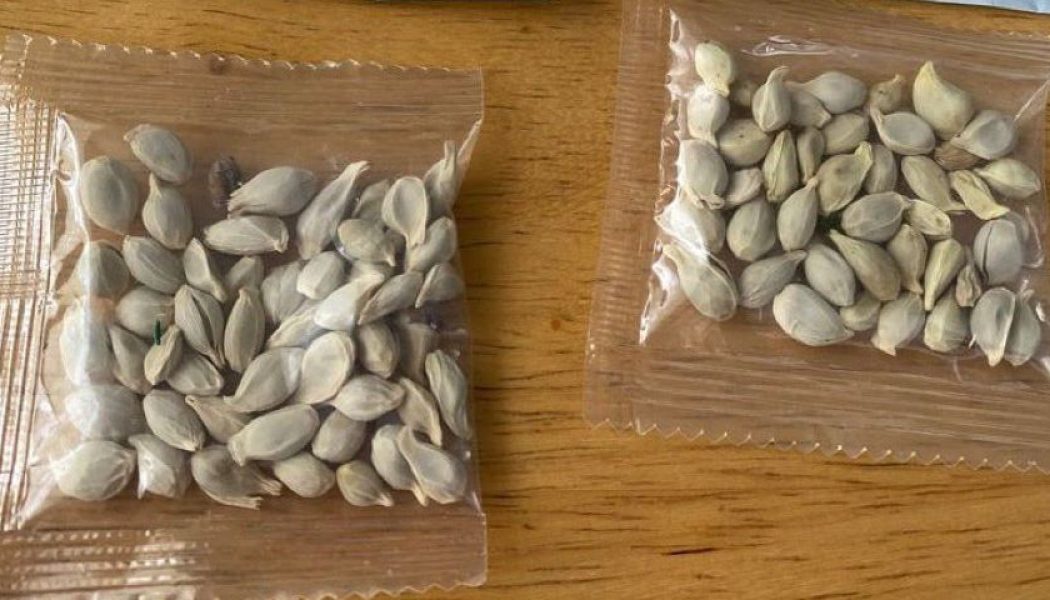 Amazon bars foreign sales of plants to the US following deliveries of mystery seeds