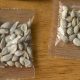 Amazon bars foreign sales of plants to the US following deliveries of mystery seeds