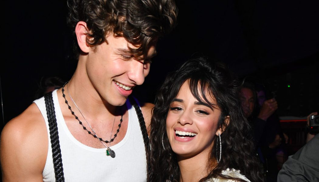 Camila Cabello Is ‘So Proud’ of Her ‘Love’ Shawn Mendes Following ‘Wonder’ Album Announcement