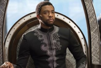 Chadwick Boseman to Be Memorialized with a Statue in His Hometown