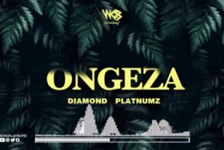 Diamond Platnumz – Ongeza