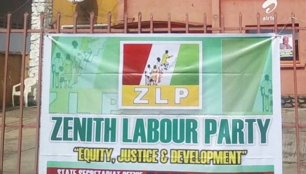 Enugu Assembly by-election: Casmir Nnadi emerges ZLP candidate