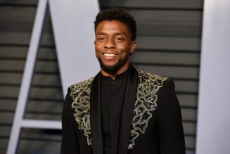 James Brown’s Daughter To Honor Chadwick Boseman at Memorial Event