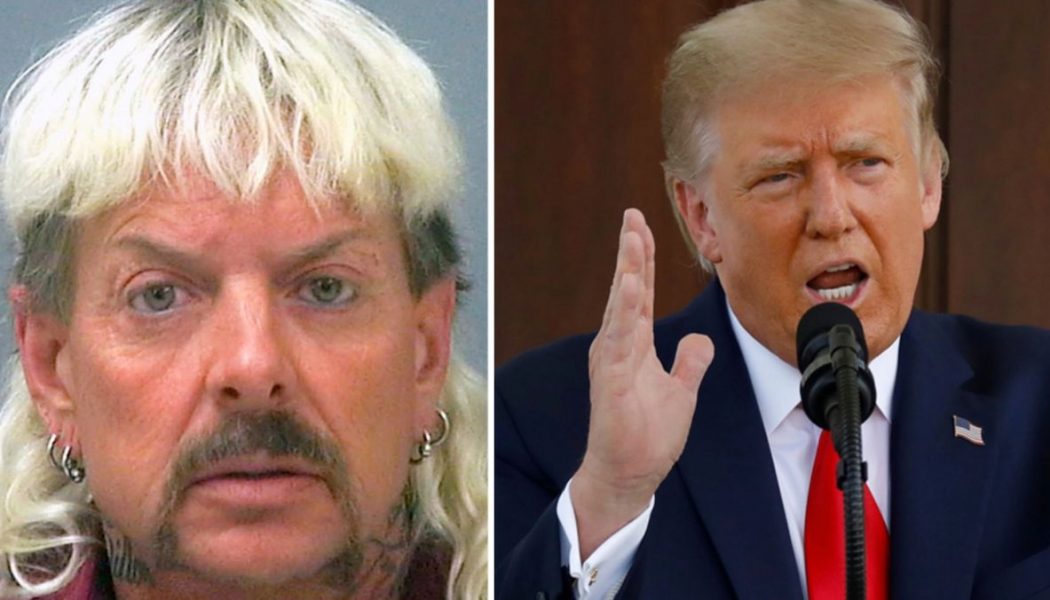 Joe Exotic Begs for Donald Trump to Pardon Him in 257-Page Letter