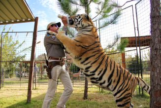 Joe Exotic Begs White Supremacist Donald Trump For A Pardon, Says He’s Been Violated In Prison