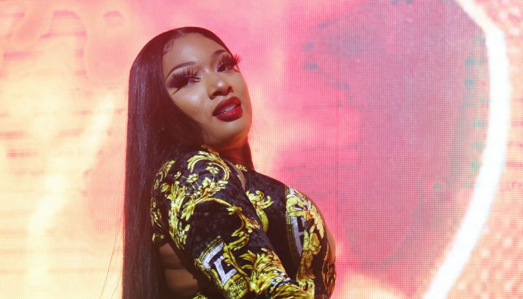 Megan Thee Stallion’s Adorable New Pup X Makes His Instagram Debut