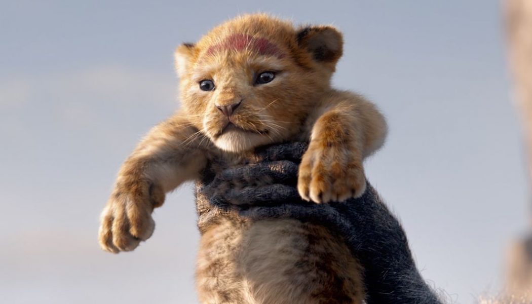 Moonlight director Barry Jenkins is helming the next live-action Lion King