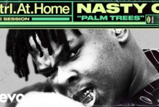 Nasty C – Palm Trees (Live Session) [VIDEO]