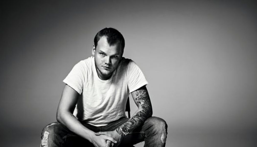 New Song Co-Written by Avicii to Be Released by Country Artist Cam