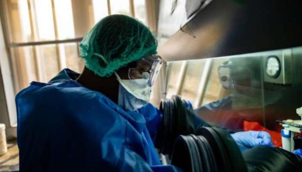 Nigeria confirmed virus cases top 55,000