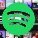 Spotify Lite Marks 1 Year Milestone