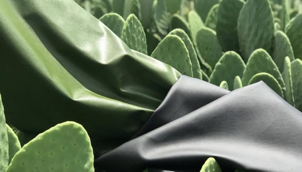 The Future of Vegan Leather Is Plant-Based, and It’s Made from Cactus, Pineapples, and Mushrooms