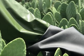 The Future of Vegan Leather Is Plant-Based, and It’s Made from Cactus, Pineapples, and Mushrooms