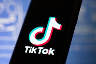 US Federal Court Delays TikTok Ban