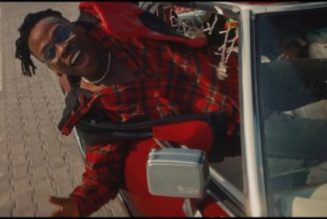 VIDEO: Fireboy DML – Friday Feeling