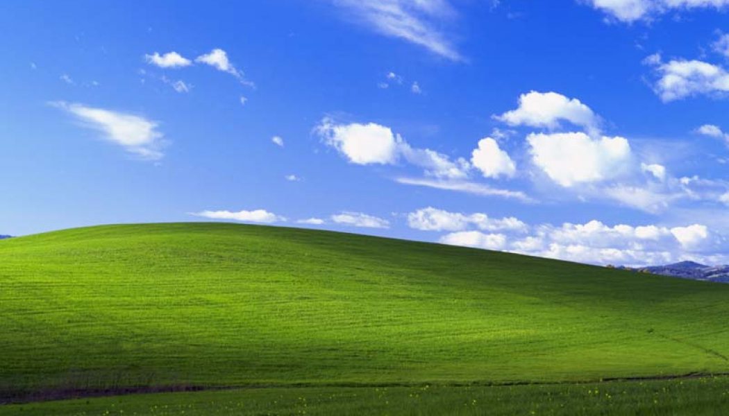 Windows XP source code leaks online