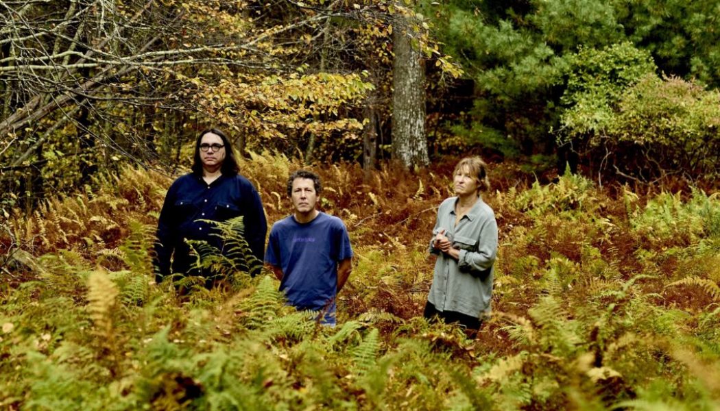 Yo La Tengo Share New Single ‘Bleeding’