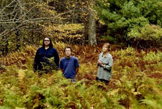 Yo La Tengo Share New Single ‘Bleeding’