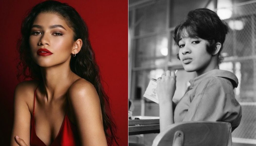 Zendaya to Star as Ronnie Spector in New Biopic