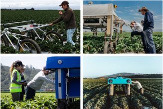 Alphabet’s latest X project is a crop-sniffing plant buggy