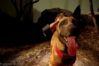 Blair Witch: Oculus Quest Edition will let you pet its dog in VR this month