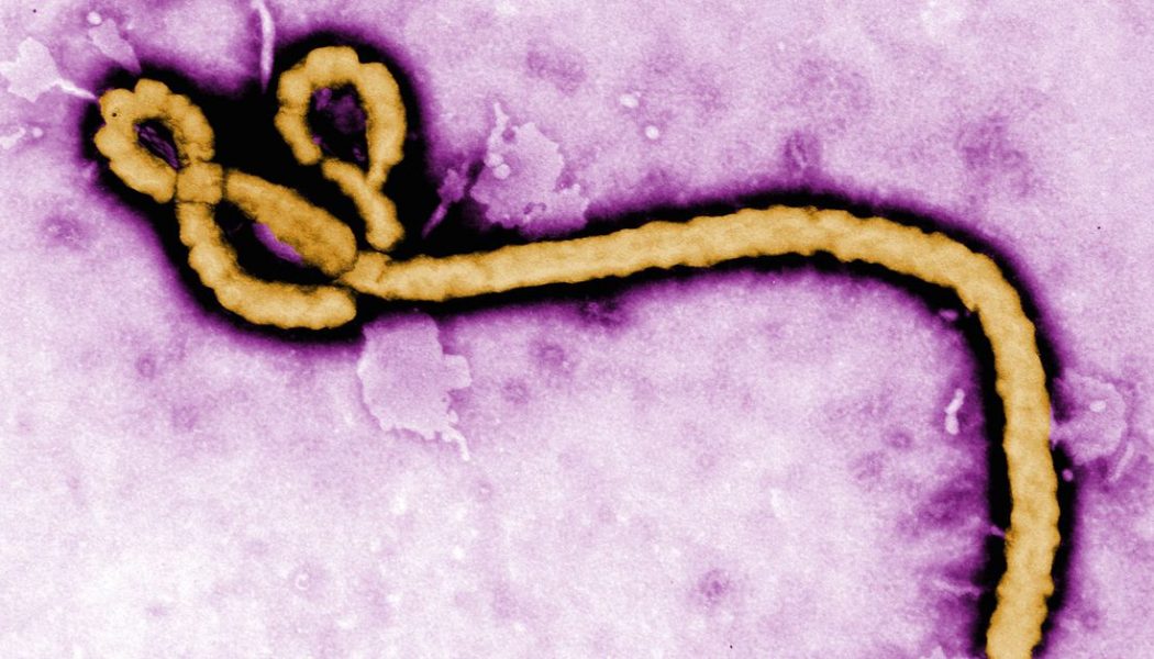 FDA approves first treatment for Ebola