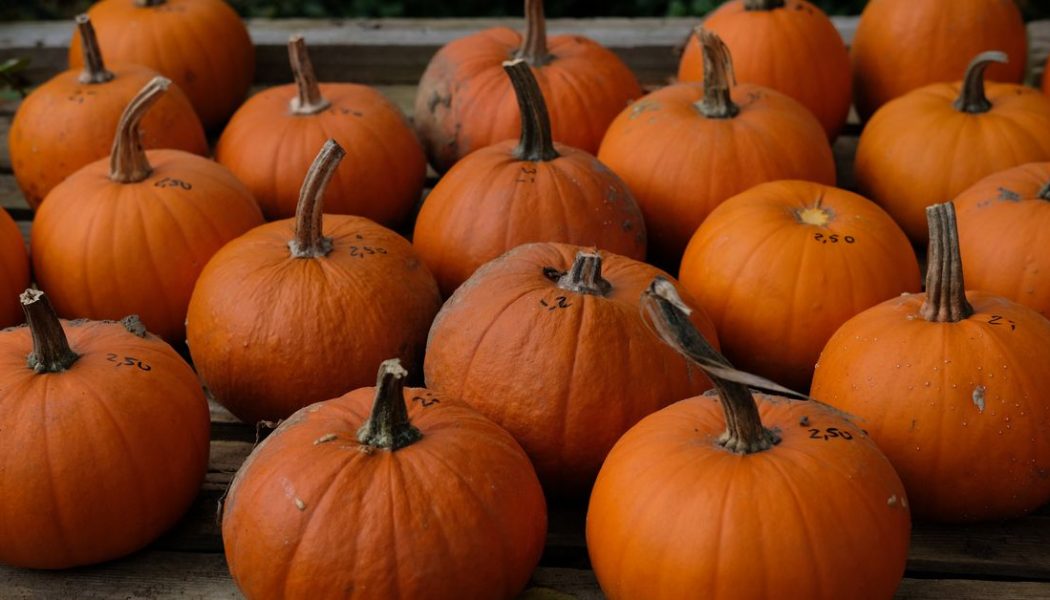 Halloween isn’t risk-free, but it can be lower risk