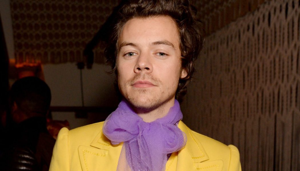 Harry Styles Hung Out at a Fan’s House (& Fed Her Fish) After His Car Broke Down