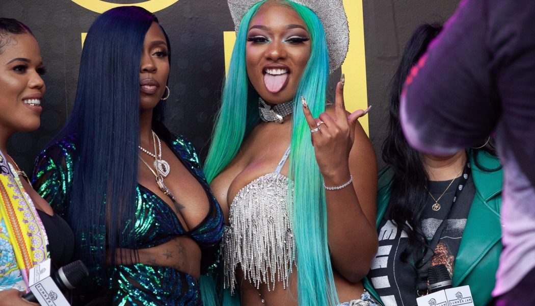 Megan Thee Stallion Had The Perfect Response For That Varmint’s Instagram Live Rant