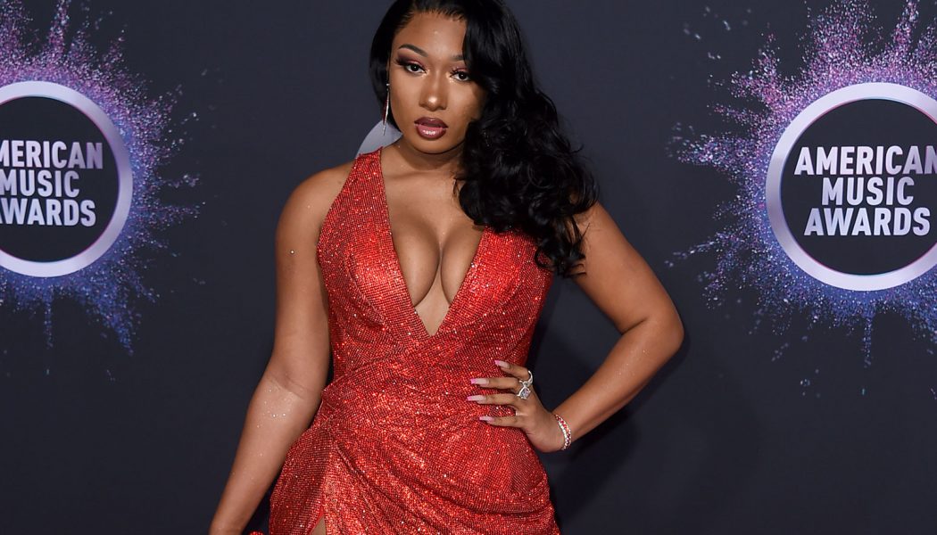 Megan Thee Stallion Slams ‘Dumb Comment’ Criticizing Her ‘Protect Black Women’ Essay: ‘This Is Sad’