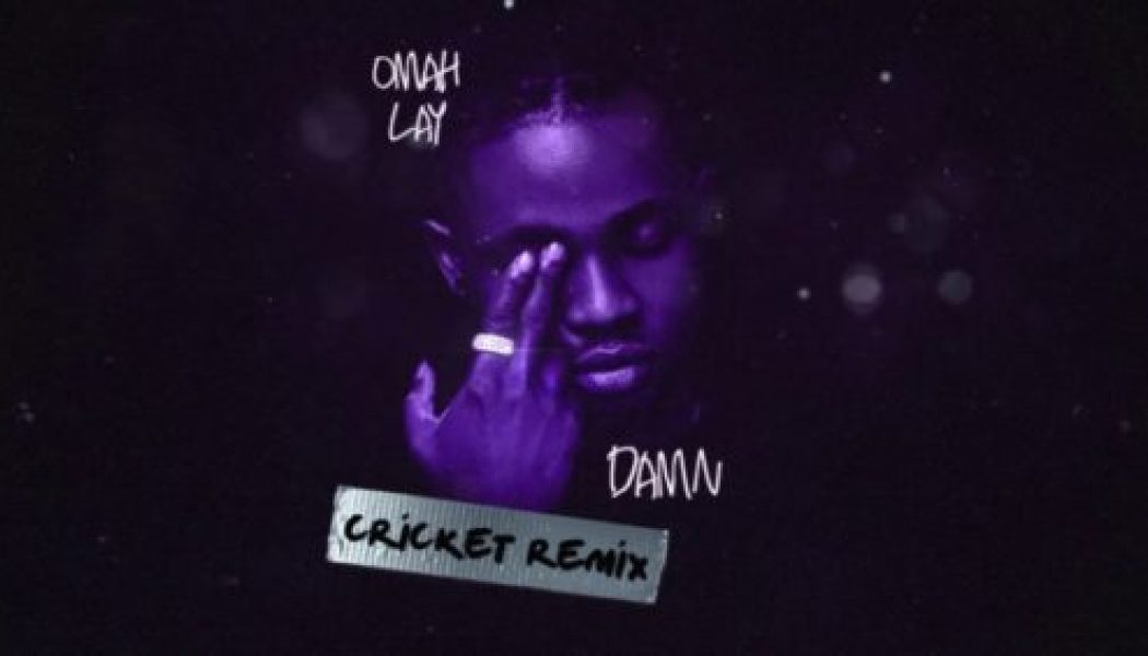 Omah Lay – Damn (Cricket Remix)