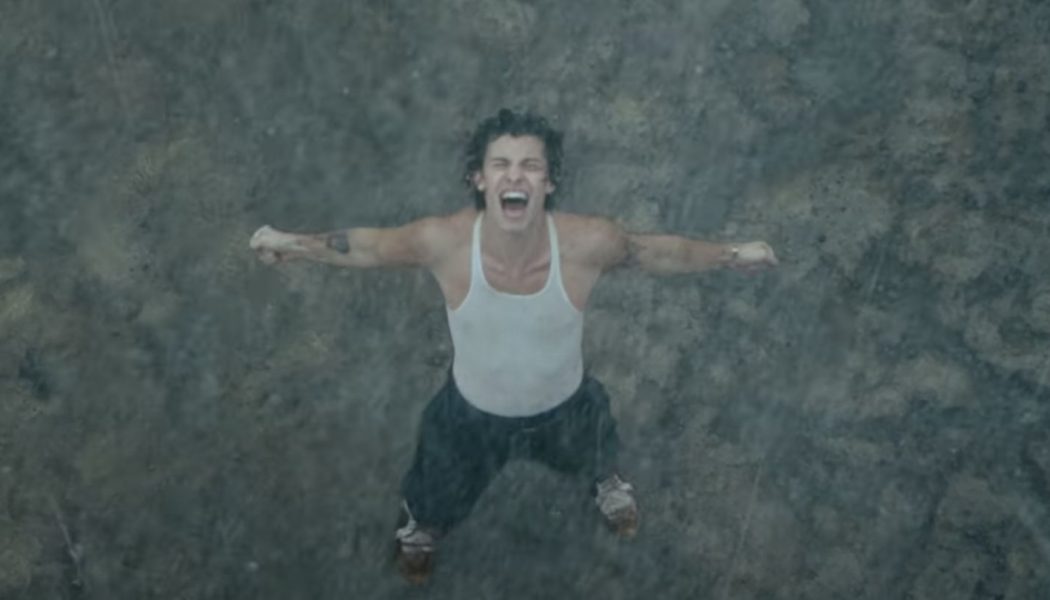 Shawn Mendes Gets Very Wet In Soaring New ‘Wonder’ Video