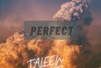 Taleen Beatz – Perfect