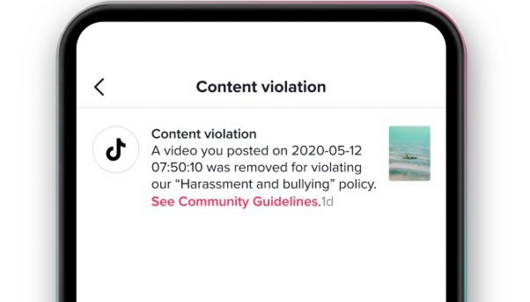 TikTok will now tell you why it removed your video