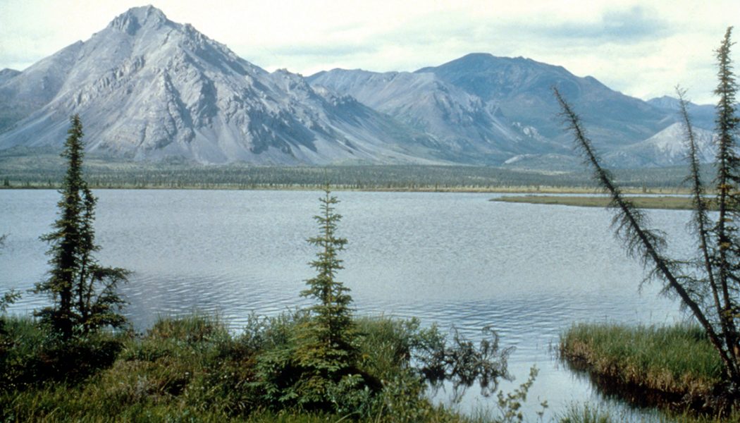 Trump administration eyes speedy permit for Arctic National Wildlife Refuge seismic tests