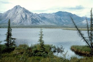 Trump administration eyes speedy permit for Arctic National Wildlife Refuge seismic tests