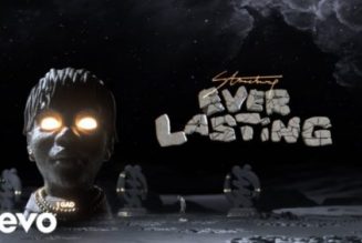 VIDEO: Stonebwoy – Ever Lasting