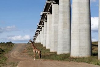 AfCFTA will boost Kenya cement demand – Bamburi CEO