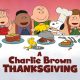 Charlie Brown Thanksgiving and Christmas Specials Will Air on TV After All Thanks to PBS