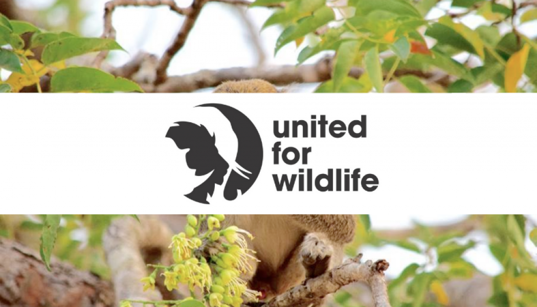 M-Pesa Becomes First African FinTech to Join United for Wildlife Financial Taskforce