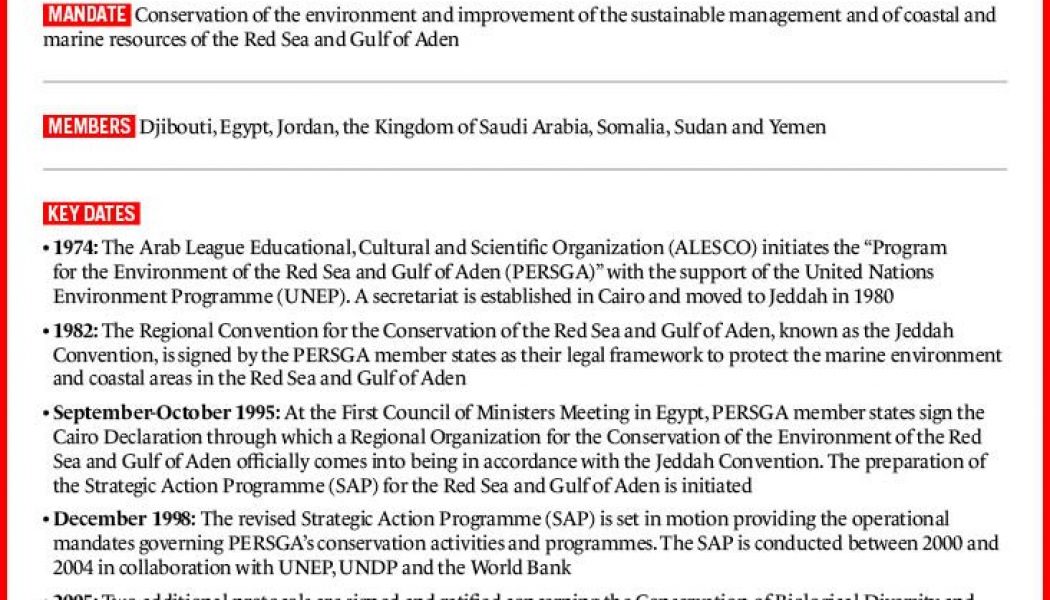 Ports, military bases and treaties: Who’s who in the Red Sea