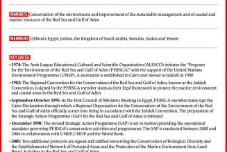 Ports, military bases and treaties: Who’s who in the Red Sea