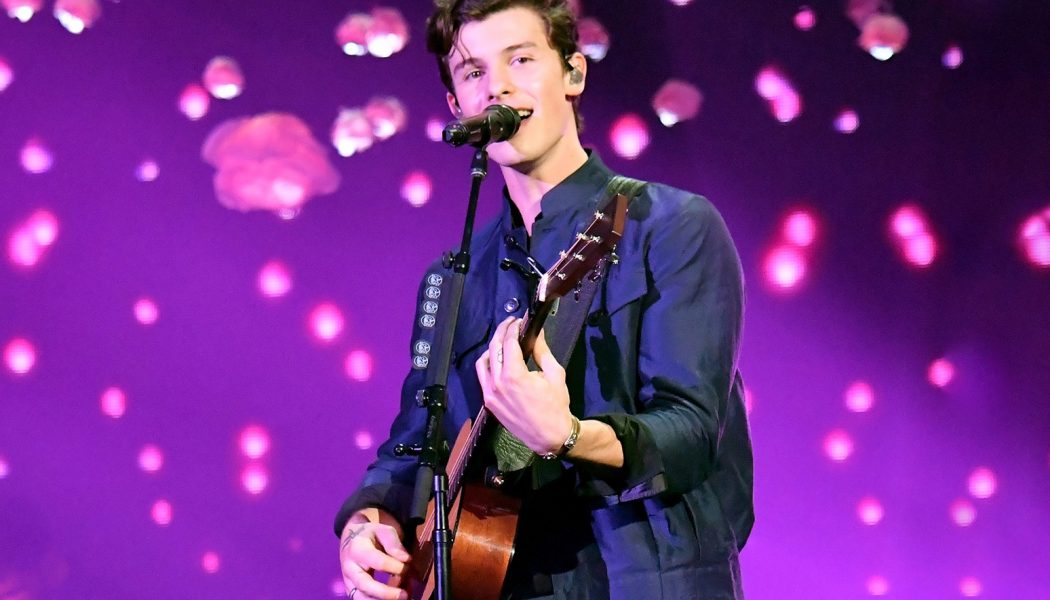 Shawn Mendes, Megan Thee Stallion & More to Perform at 2020 American Music Awards